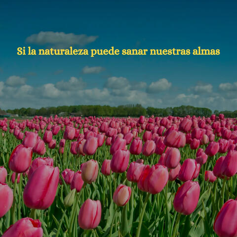 Si la naturaleza puede sanar nuestras almas