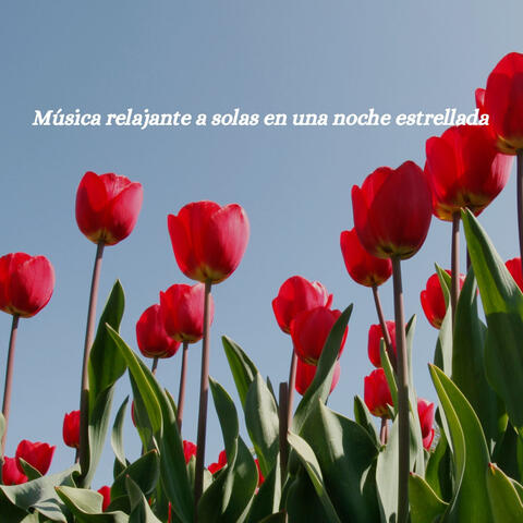 Música relajante a solas en una noche estrellada