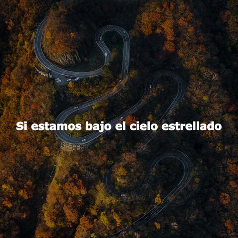 Si estamos bajo el cielo estrellado