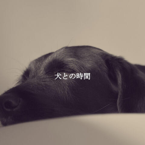 犬との時間