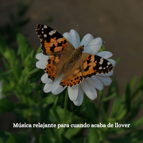 Música relajante para cuando acaba de llover