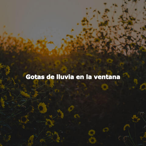 Gotas de lluvia en la ventana