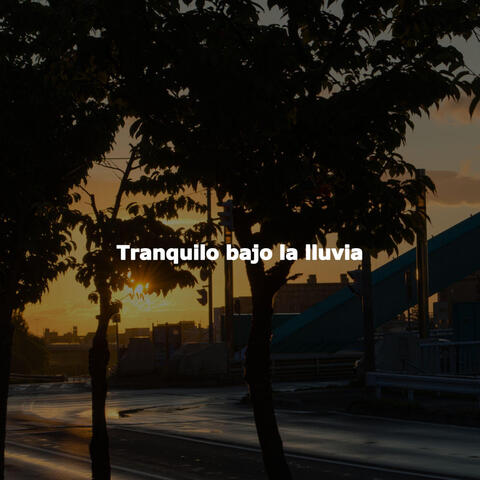 Tranquilo bajo la lluvia