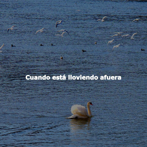 Cuando está lloviendo afuera