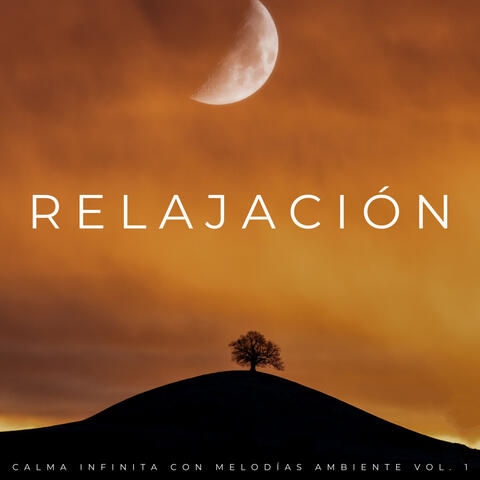 Relajación: Calma Infinita Con Melodías Ambiente Vol. 1