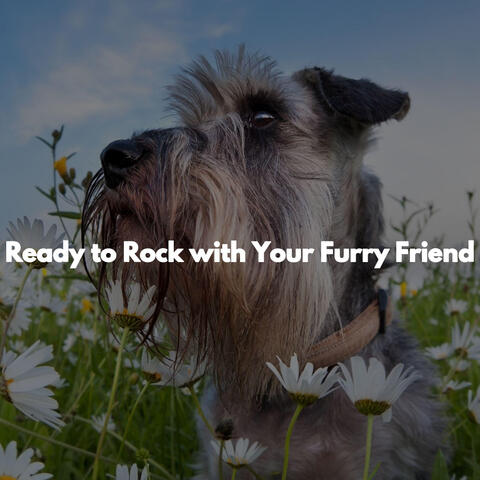 Ready to Rock with Your Furry Friend