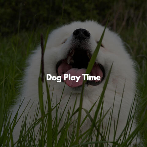 Dog Play Time