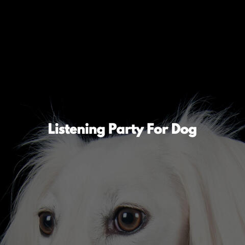 Listening Party For Dog