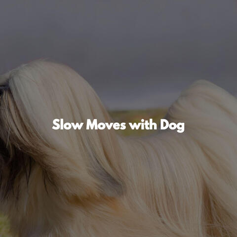 Slow Moves with Dog