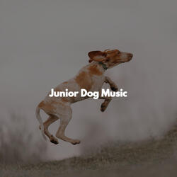 Ambience (Calming Storms)