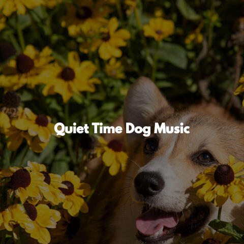 Quiet Time Dog Music