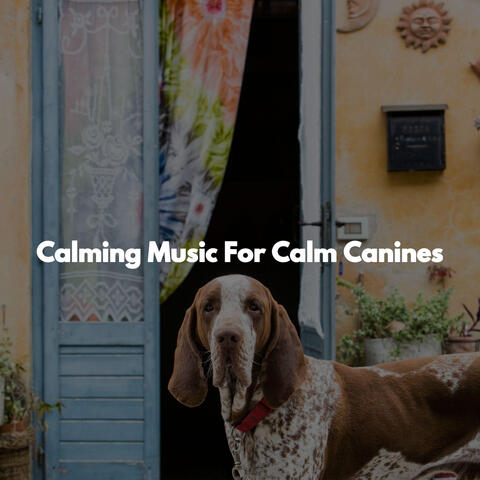 Calming Music For Calm Canines