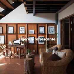 Urbane Daily Coffee