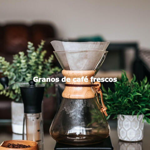 Granos de café frescos
