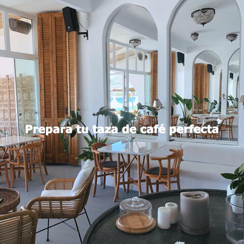 Prepara tu taza de café perfecta