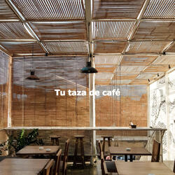 Bubbly Piano and Acoustic Bass - Vibe for Morning Javas