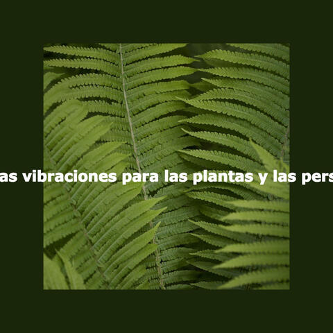 Buenas vibraciones para las plantas y las personas
