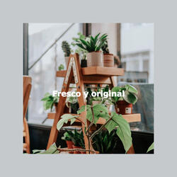 High Class Ambiance for Rest on Weekend