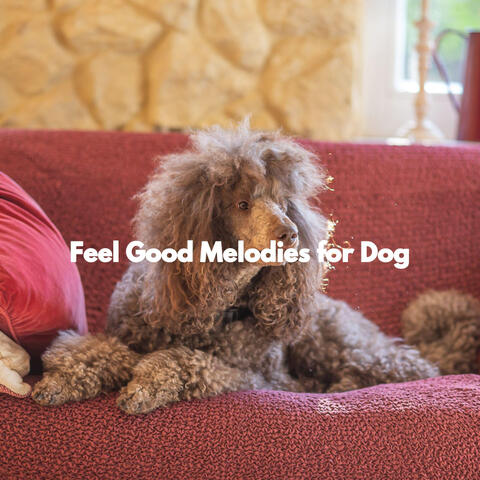 Feel Good Melodies for Dog