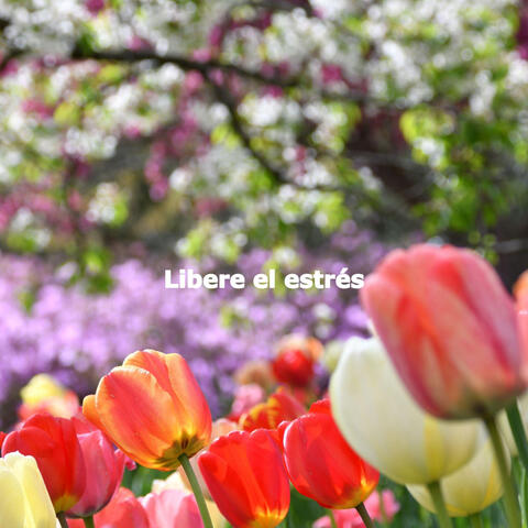Libere el estrés