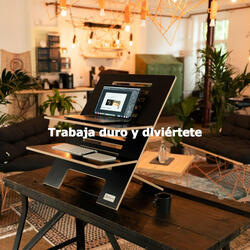 Dreams (Afternoon Reads)