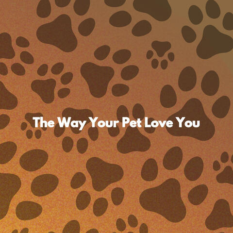 The Way Your Pet Love You