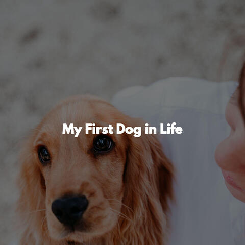My First Dog in Life
