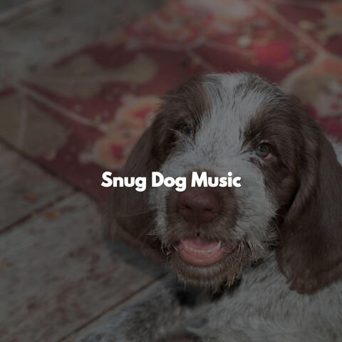 Snug Dog Music