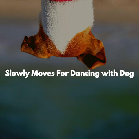 Slowly Moves For Dancing with Dog
