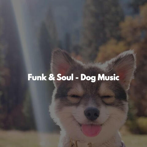 Funk & Soul - Dog Music