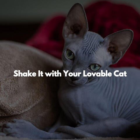 Shake It with Your Lovable Cat