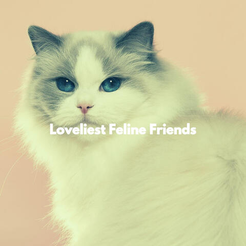 Loveliest Feline Friends