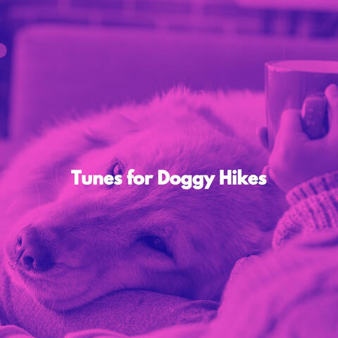 Tunes for Doggy Hikes
