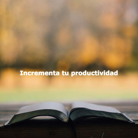 Incrementa tu productividad