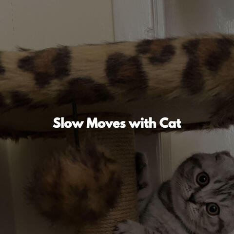 Slow Moves with Cat