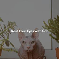 Cultivated Moods for Jazz Experiences