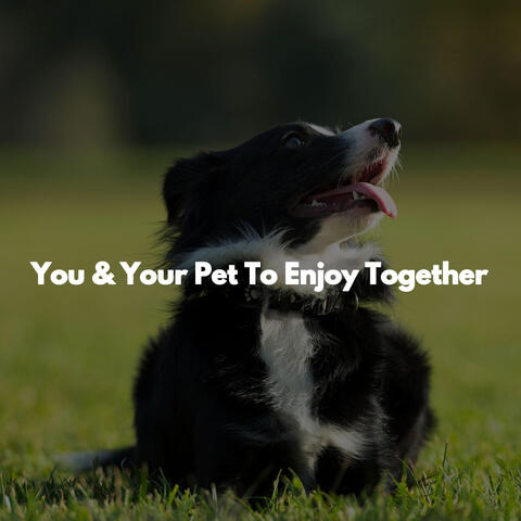 You & Your Pet To Enjoy Together