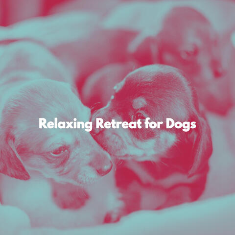 Relaxing Retreat for Dogs