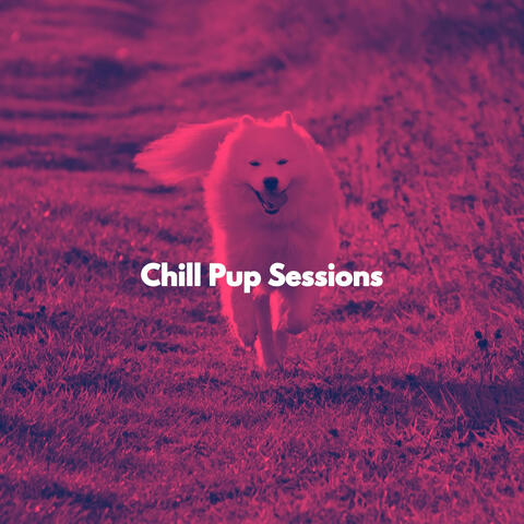 Chill Pup Sessions