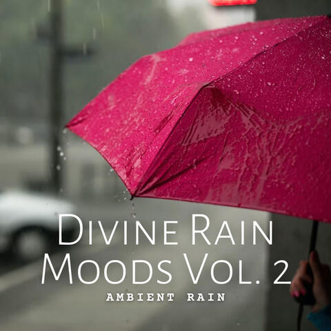 Ambient Rain: Divine Rain Moods Vol. 2