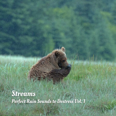 Streams: Perfect Rain Sounds to Destress Vol. 1