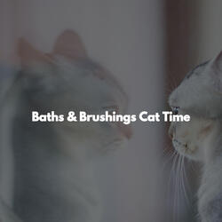 Casual Moods for Jazz Experiences