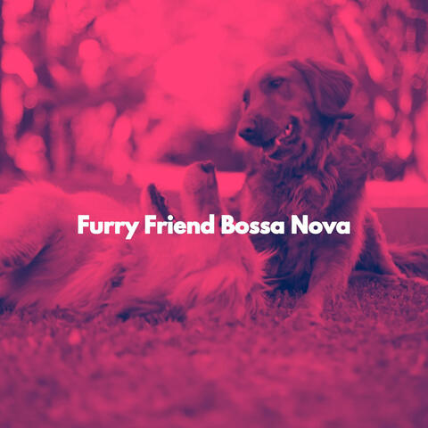 Furry Friend Bossa Nova