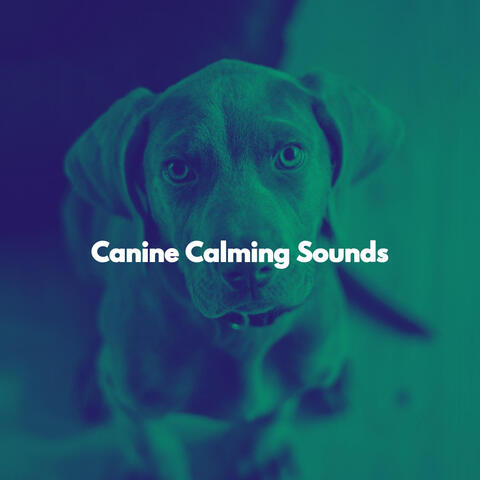 Canine Calming Sounds
