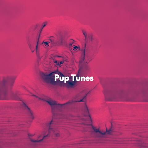 Pup Tunes