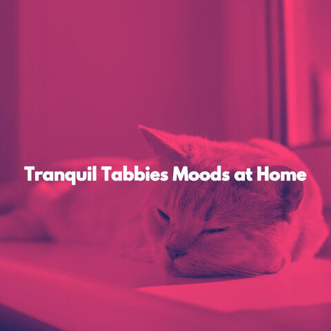 Tranquil Tabbies Moods at Home