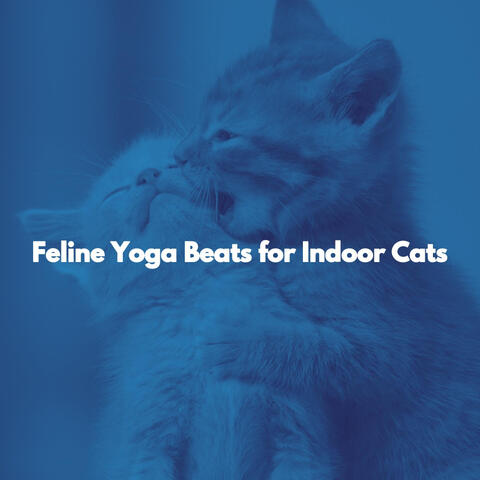 Feline Yoga Beats for Indoor Cats