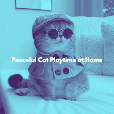 Peaceful Cat Playtime at Home