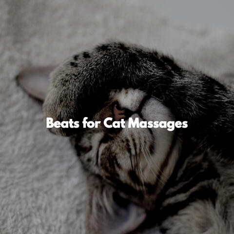 Beats for Cat Massages