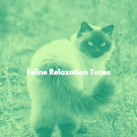 Feline Relaxation Tunes